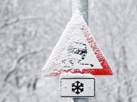 7 советов водителям при движении по скользким дорогам от «Школы юного пешехода»